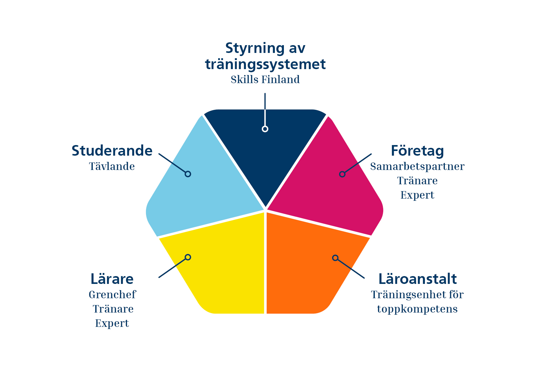 2024_Valmennusjärjestelmän ohjaus_SV.jpg